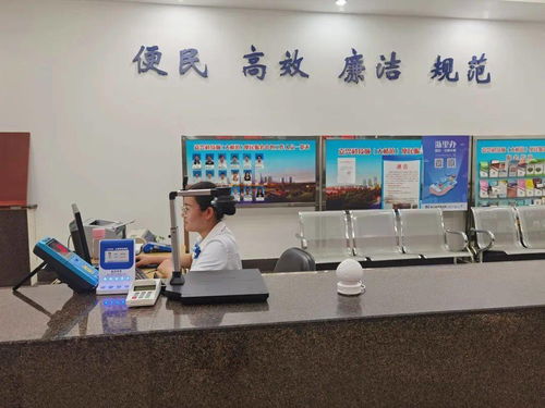 嘉興科技城大橋鎮便民服務中心啟用“一窗受理、全域通辦”公用事業服務窗口